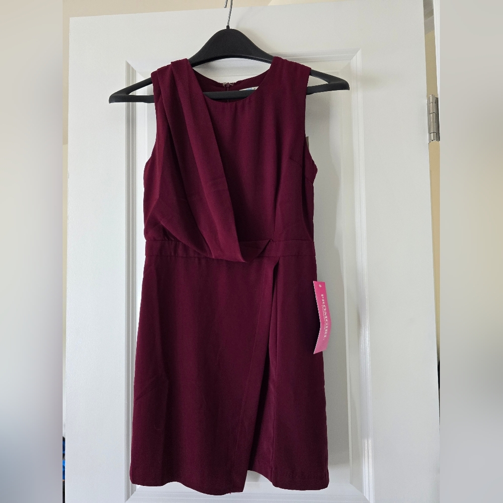 Elegant Burgundy Dress